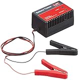 HP-Autozubehör 20817 Batterietrainer 12V 500mA,...