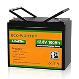 ECO-WORTHY LiFePO4 100Ah 12V Batterie mit BMS Low...