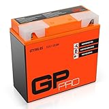 GP-PRO G19 12V 22Ah GEL-Batterie DIN 51913 / Kompatibel...