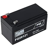 FIAMM FG20121A 1.2Ah 12V USV Batterie